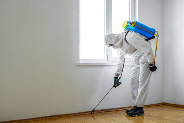Best Commercial Pest Control Services  in Kerhonkson, NY