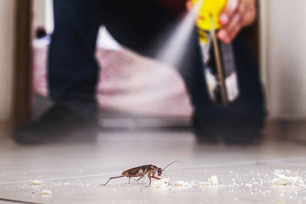 Best Pest Removal Services  in Kerhonkson, NY