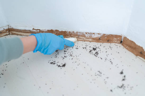 Best Best Pest Control Companies  in Kerhonkson, NY